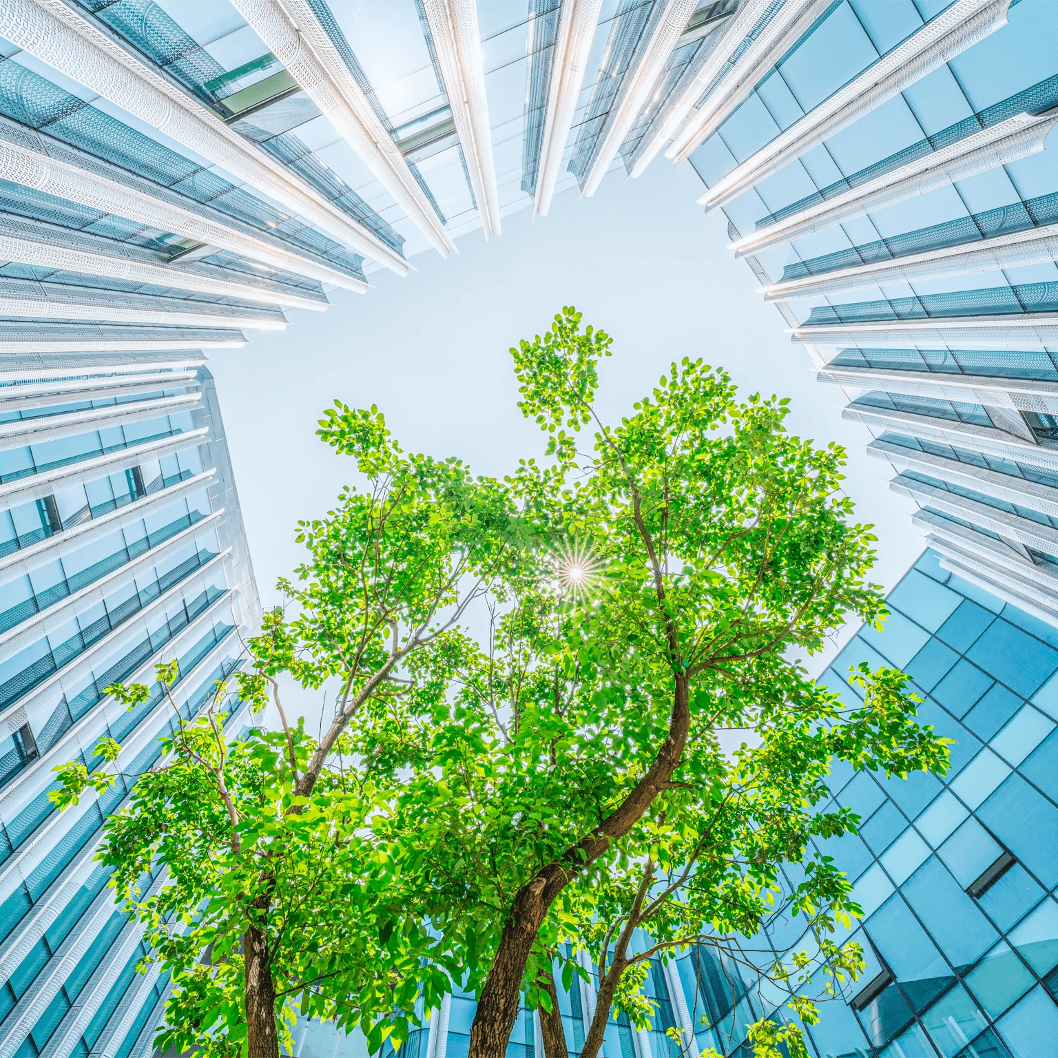 B2B Growth Is Where It’s Green | McKinsey